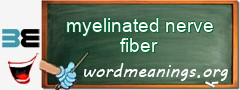 WordMeaning blackboard for myelinated nerve fiber